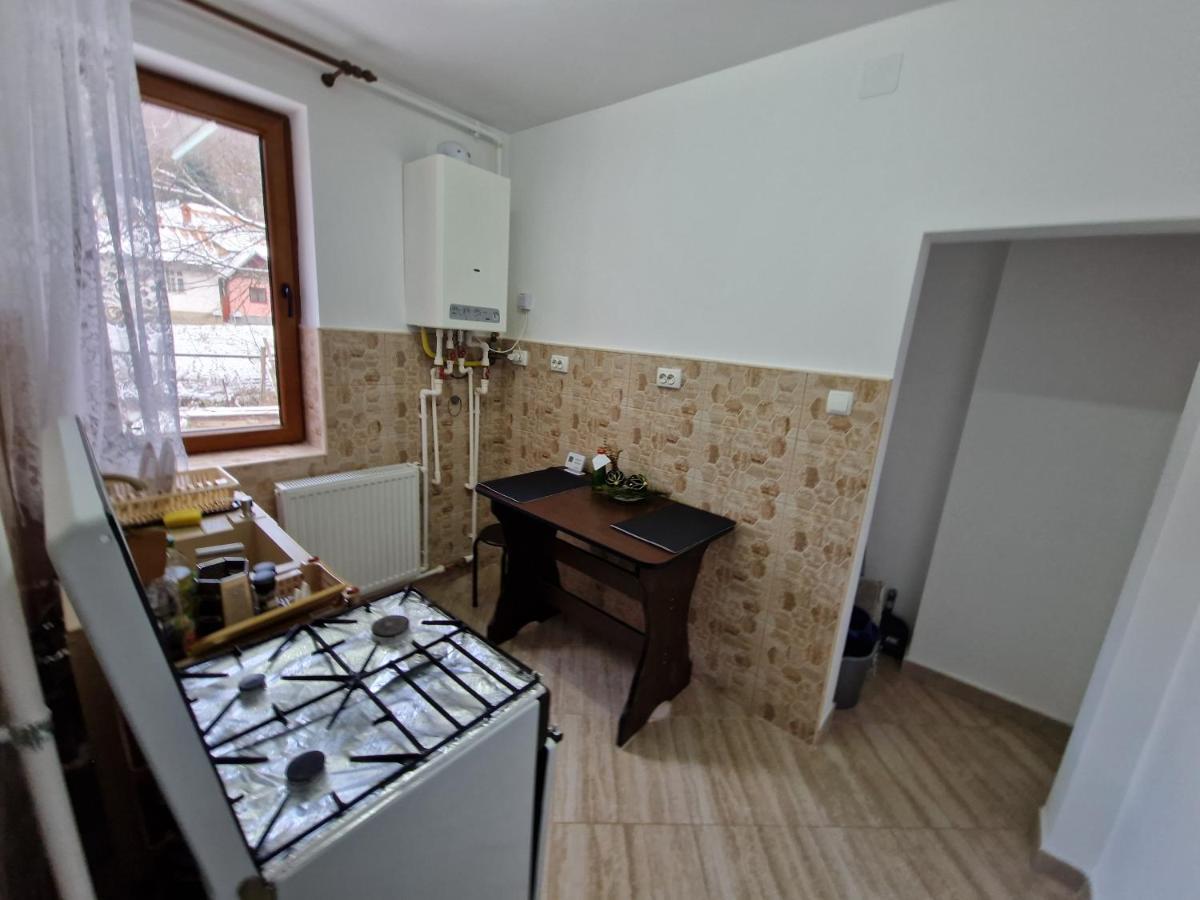 Apartamentul Florilor De Fan Azuga Kültér fotó